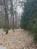 Działka budowlana Bieniewiec, ul. Spacerowa. Zdjęcie 1