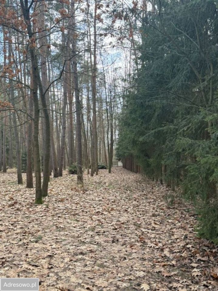 Działka budowlana Bieniewiec, ul. Spacerowa. Zdjęcie 2