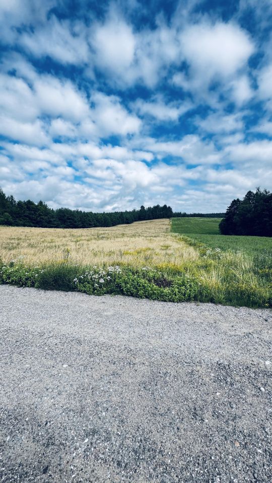 Działka siedliskowa Pobondzie. Zdjęcie 8