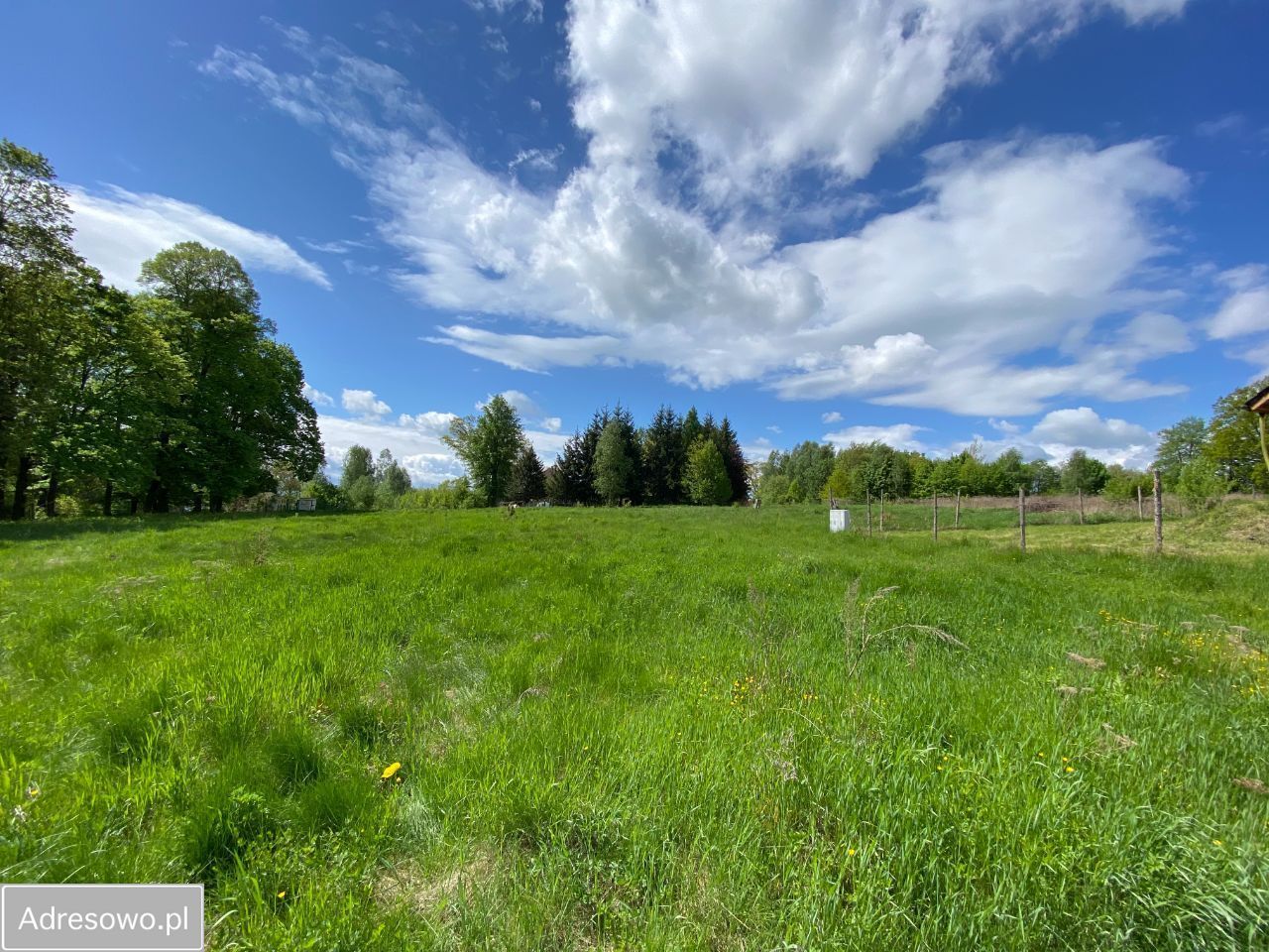 Działka budowlana Gryfów Śląski, ul. Malownicza