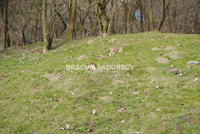 Działka leśna Malkowice. Zdjęcie 3