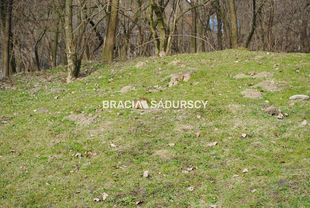 Działka leśna Malkowice. Zdjęcie 3