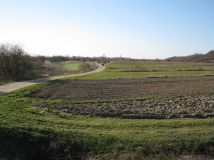 Działka rolna Zarzecze. Zdjęcie 2