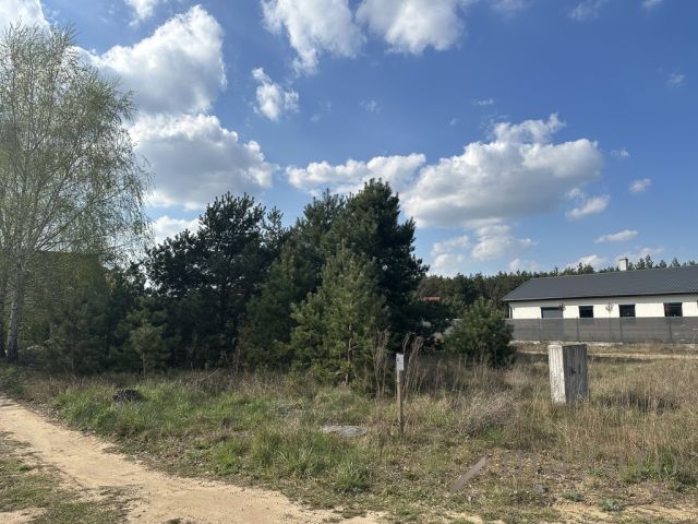 Działka rolna Lisi Ogon. Zdjęcie 4