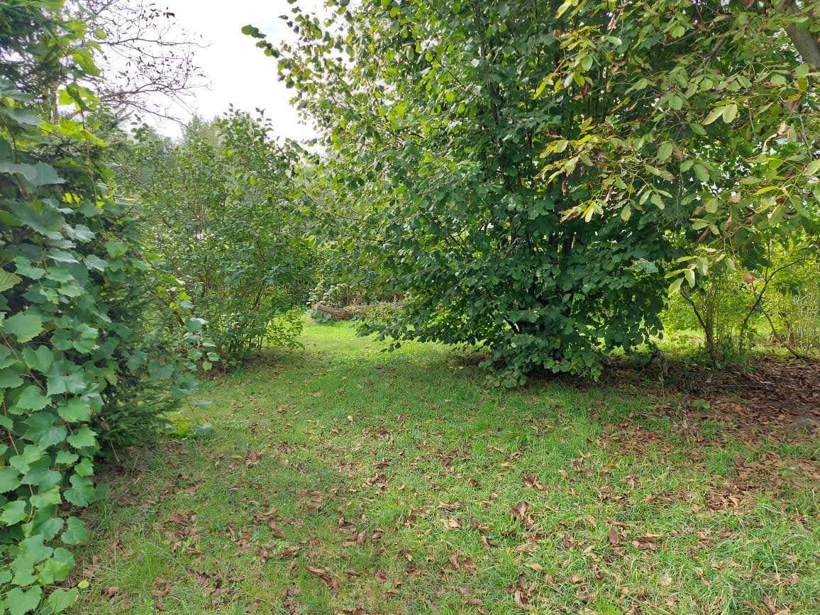 Działka budowlana Sosnowiec Bór, ul. Długa. Zdjęcie 6