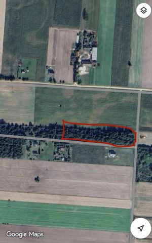 Działka rekreacyjna Zasonie, Zasonie. Zdjęcie 1