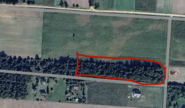 Działka rekreacyjna Zasonie, Zasonie