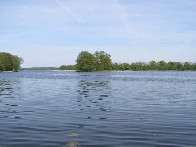 Działka rekreacyjna Stary Gieląd. Zdjęcie 18