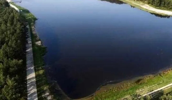 Działka rekreacyjna Janowice