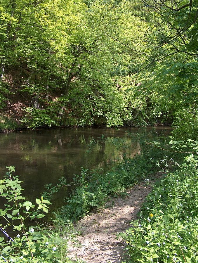 Działka budowlana Włynkówko, ul. Aleja nad Rzeką. Zdjęcie 16