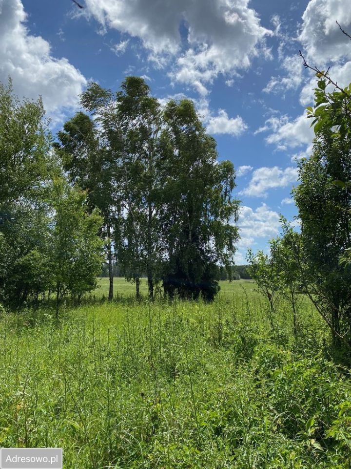 Działka siedliskowa Stegna. Zdjęcie 9