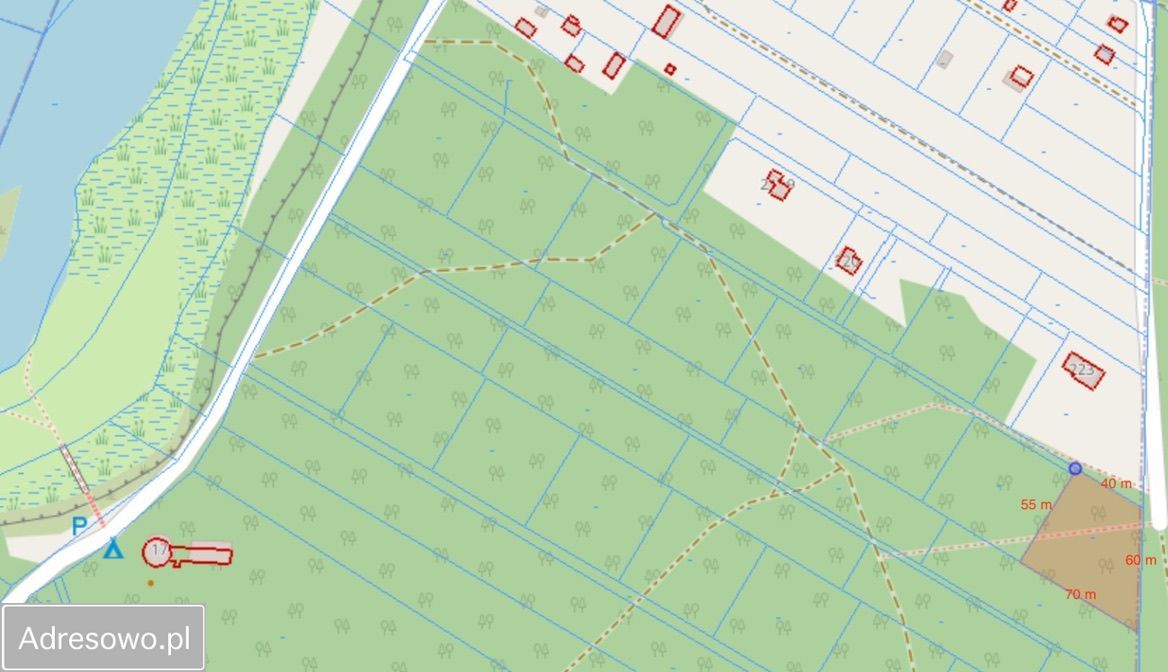 Działka leśna Biała Góra. Zdjęcie 5