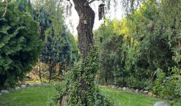 Działka rod Kalisz, ul. Pogodna