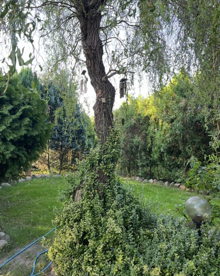 Działka rod Kalisz, ul. Pogodna. Zdjęcie 2