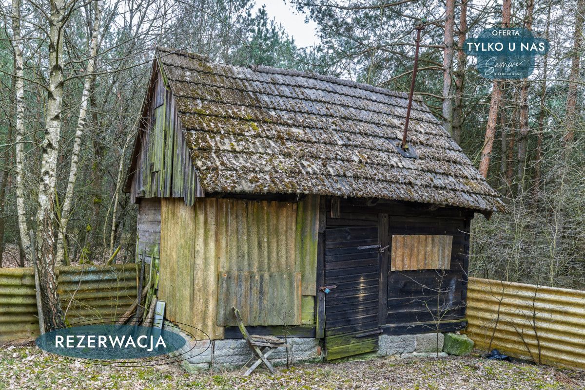 Działka leśna Kije. Zdjęcie 16
