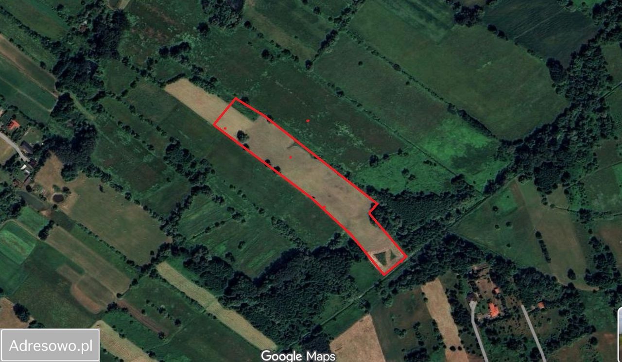 Działka rolna Nowy Secymin. Zdjęcie 10