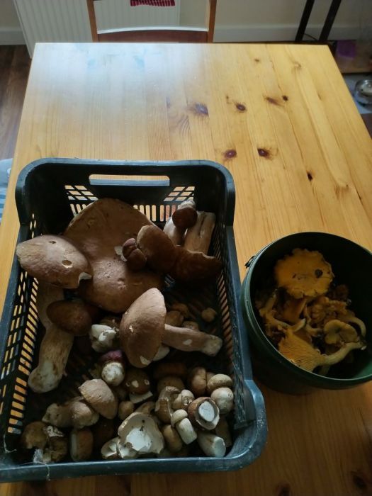 Działka budowlana Parchowo Karłowo. Zdjęcie 13