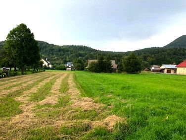 Działka budowlana Lipowica. Zdjęcie 2