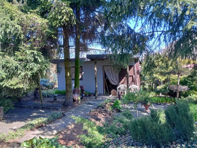 Działka rod Chorzów. Zdjęcie 1