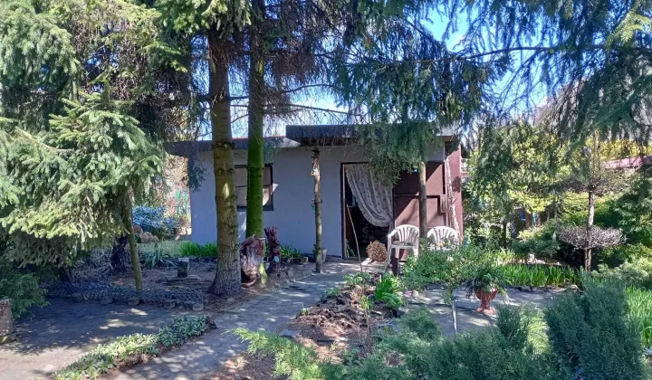 Działka rod Chorzów