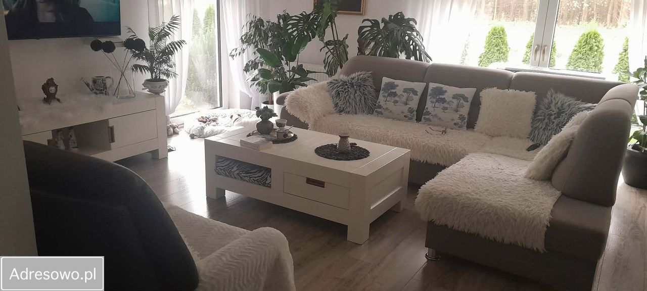 dom wolnostojący, 3 pokoje Niwki. Zdjęcie 7
