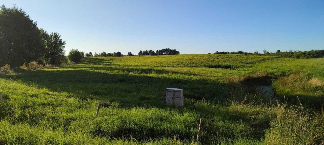 Działka budowlana Liwa. Zdjęcie 4