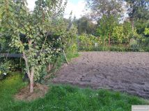 Działka rod Warszawa Włochy, ul. Paluch. Zdjęcie 4