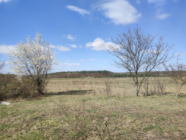 Działka budowlana Kazuń Polski, ul. Orzechowa. Zdjęcie 1