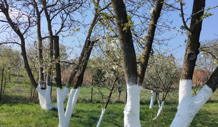 Działka rolna Trzebórz
