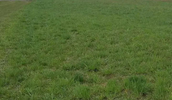 Działka budowlana Tarnobrzeg Sobów