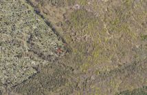 Działka rod Gdańsk Matarnia, ul. mjr. Mieczysława Słabego. Zdjęcie 1