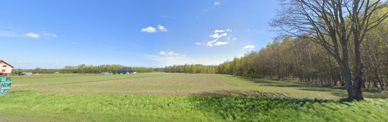 Działka siedliskowa Rudno, ul. Spacerowa