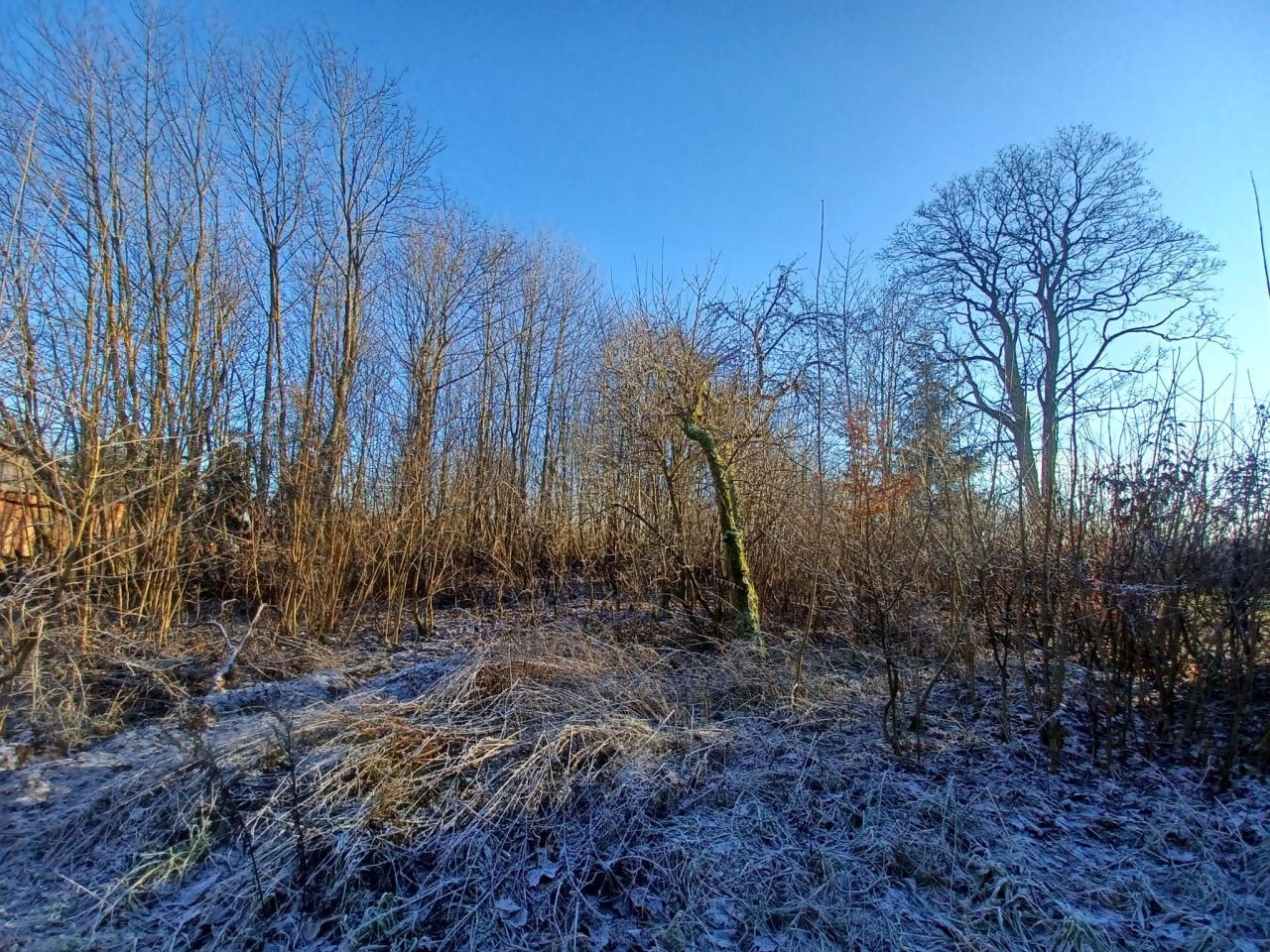 Działka rolna Krągłe. Zdjęcie 7