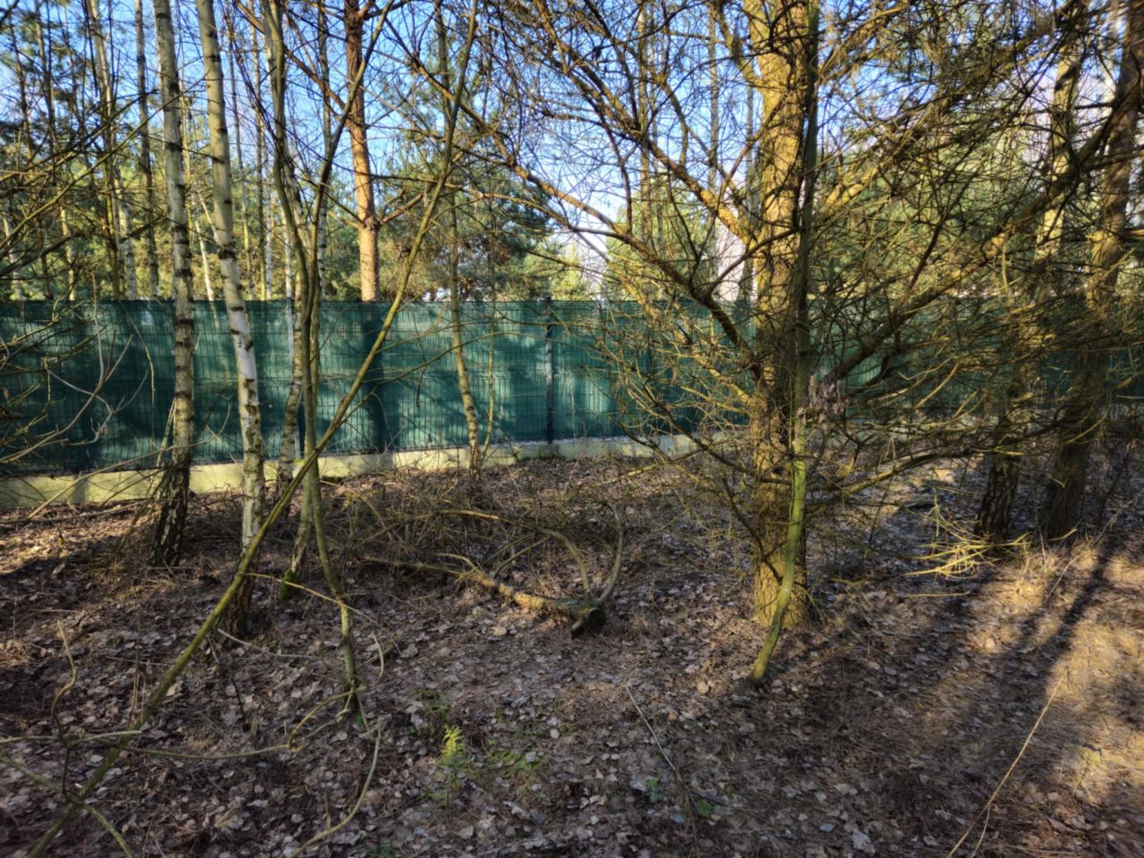 Działka budowlana Cychry. Zdjęcie 3