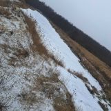 Działka rolna Okołowice. Zdjęcie 2