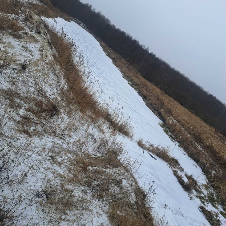 Działka rolna Okołowice. Zdjęcie 3