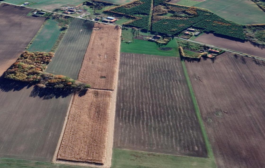 Działka rolno-budowlana Rusajny. Zdjęcie 2