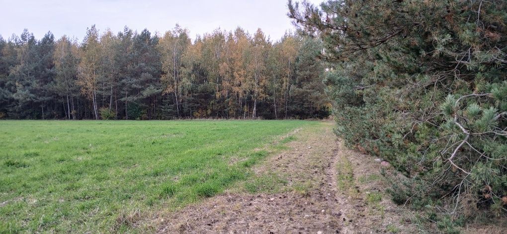 Działka rolno-budowlana Wilamów-Parcela. Zdjęcie 4