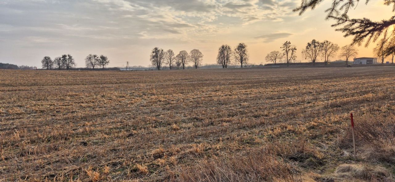 Działka budowlana Osie. Zdjęcie 4