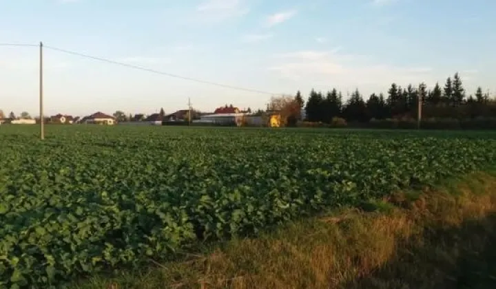 Działka budowlana Lubraniec-Parcele