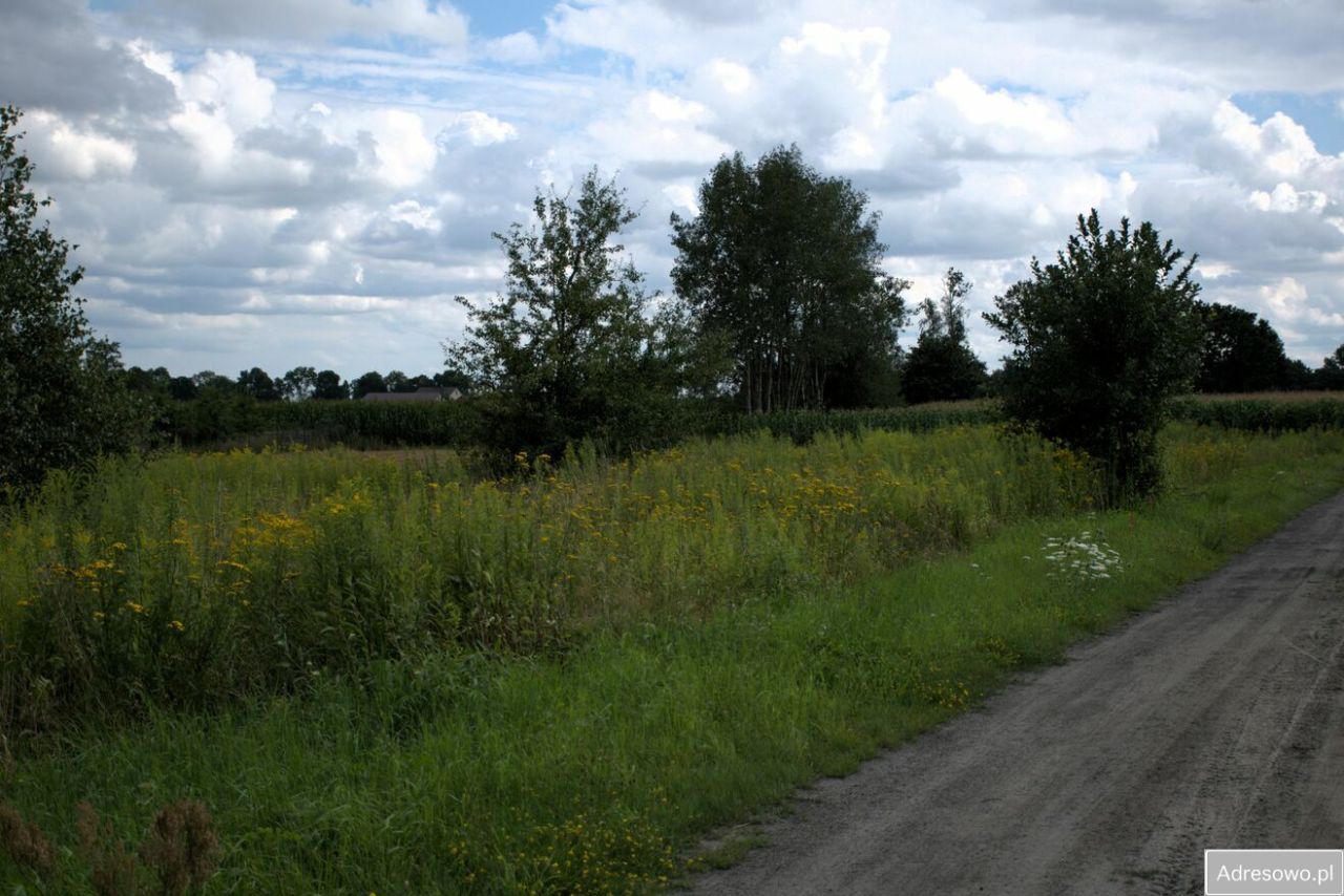 Działka rolna Huta Kuflewska. Zdjęcie 5