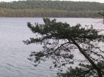 Działka budowlana Borek Kamienny. Zdjęcie 4