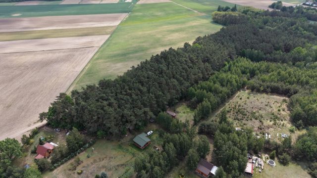 Działka rekreacyjna Gromadzyn. Zdjęcie 5