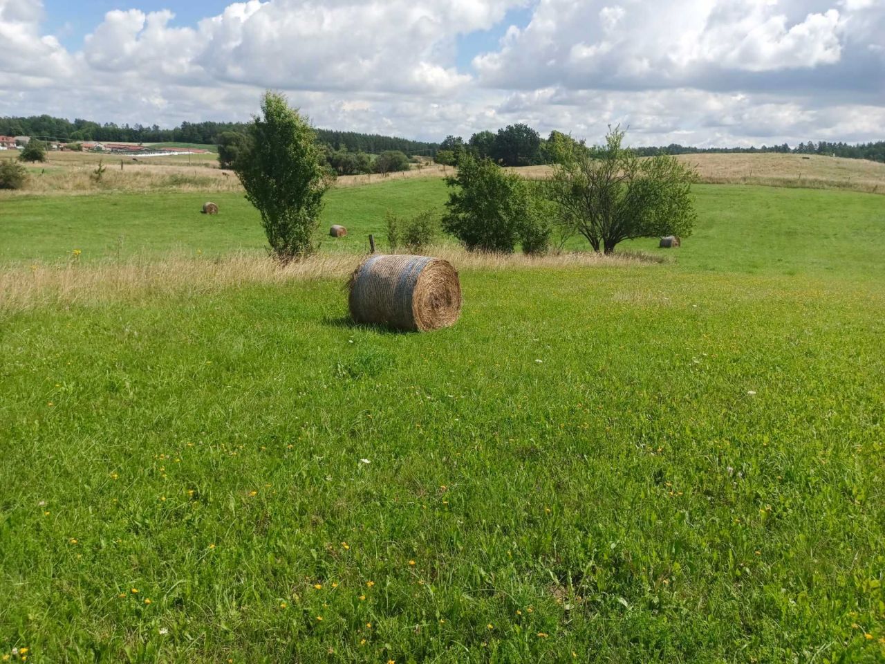 Działka rolna Dąbrówka. Zdjęcie 3