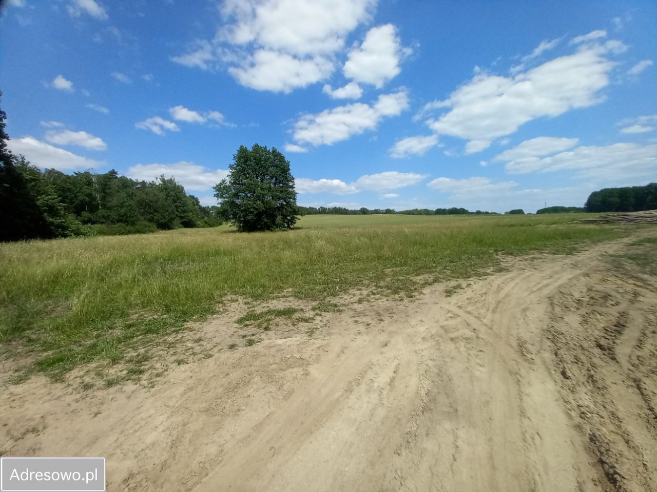 Działka rolna Droszków. Zdjęcie 8