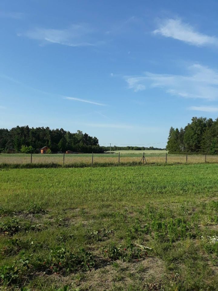 Działka rolno-budowlana Sobieski. Zdjęcie 5