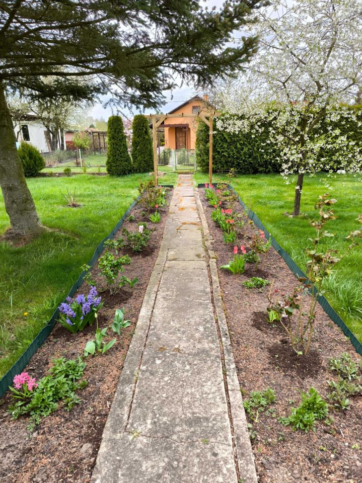 Działka rod Szałe. Zdjęcie 5