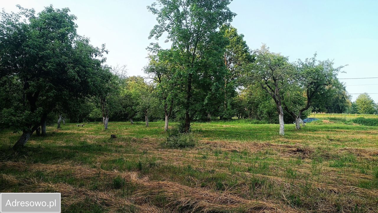 Działka rolno-budowlana Bierówka. Zdjęcie 5