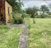 Działka rekreacyjna Jelenia Góra Zabobrze, ul. Działkowicza. Zdjęcie 3