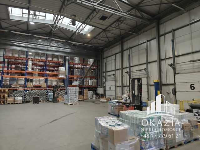 Hala/magazyn Piła, ul. Jana Styki. Zdjęcie 8